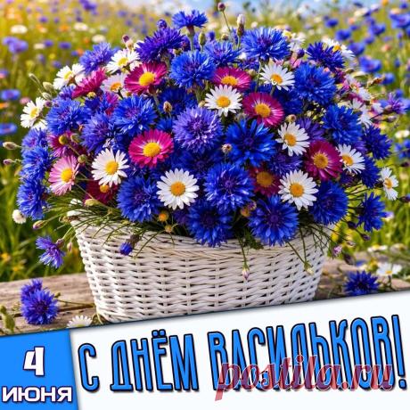 В Василисков день желаю, чтобы в жизни всё цвело, словно васильки, а на душе всегда было тепло и солнечно! Открытки на Василисков или Васильковый день!