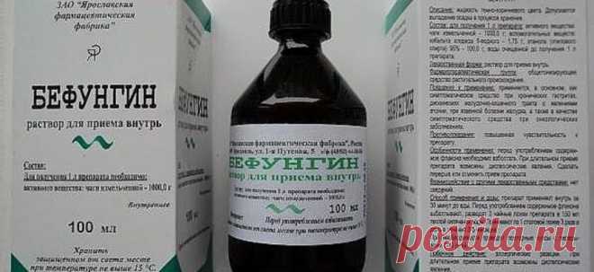 Полипы. Мой лекарь-берёзовый гриб чага.
