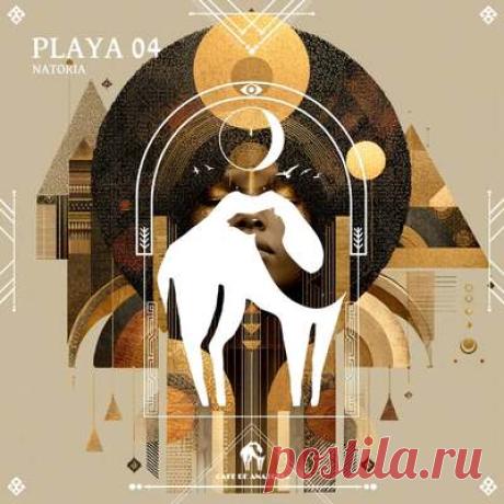Cafe De Anatolia, Natoria - Playa 04 | Progonlymusic Cafe De Anatolia, Natoria - Playa 04. BPM: 126, 128. Key: Gm, Ebm. Listen new music on Progonlymusic.