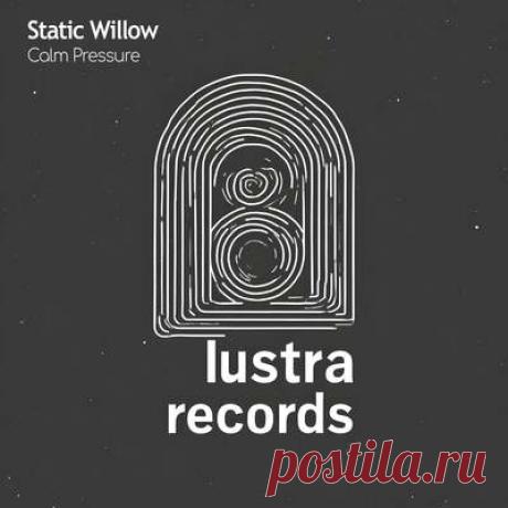 Static Willow - Calm Pressure | Progonlymusic Static Willow - Calm Pressure. BPM: 123, 122. Key: Bm, Ebm. Listen new music on Progonlymusic.