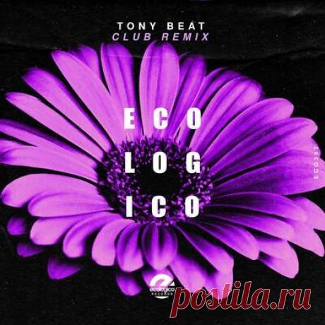 Tony Beat - Club Remix | Progonlymusic Tony Beat - Club Remix. BPM: 125. Key: Db. Listen new music on Progonlymusic.