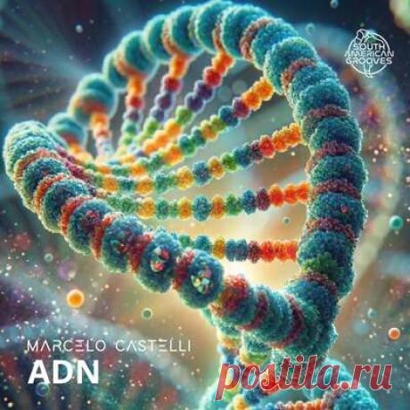 Marcelo Castelli - ADN [South American Grooves ] | Progonlymusic Marcelo Castelli - ADN [South American Grooves ]. BPM: 92, 120, 121, 126. Key: A, D, Dm, E. Listen new music on Progonlymusic.