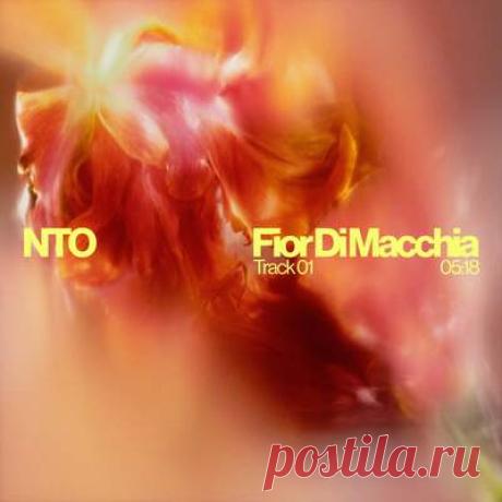 NTO (FR) - Fior Di Macchia | Progonlymusic NTO (FR) - Fior Di Macchia. BPM: 110. Key: Em. Listen new music on Progonlymusic.