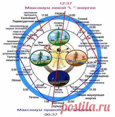 Что изменилось с переводом стрелок на зимнее время (Иван Егоров 2) / Проза.ру