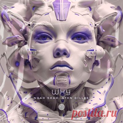 Noah Shah, Sten Gilles - Why
