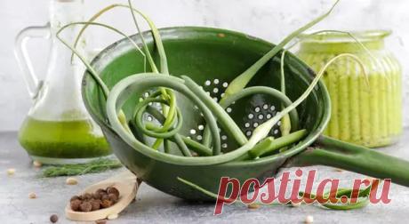 Что приготовить из чесночных стрелок: 5 рецептов вкусных блюд