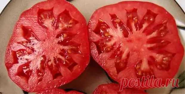Лучший мясистый салатный томат, от которого я никогда не откажусь - Дизайн и дом - 11 марта - 43484518628 - Медиаплатформа МирТесен