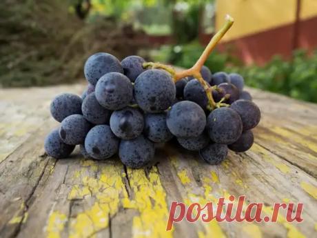 (4) 6 овощей и фруктов, которые теряют пользу вместе с кожурой - ПолонСил.ру - социальная сеть здоровья - 15 апреля - 43572943518 - Медиаплатформа МирТесен