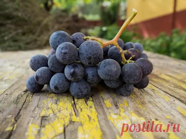 (4) 6 овощей и фруктов, которые теряют пользу вместе с кожурой - ПолонСил.ру - социальная сеть здоровья - 15 апреля - 43572943518 - Медиаплатформа МирТесен