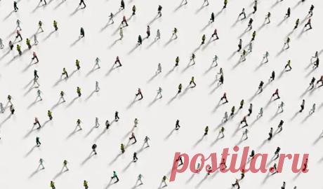 (4) «Эффект Рингельмана»: почему нужно рассчитывать только на себя - ПолонСил.ру - социальная сеть здоровья - 10 апреля - 43581991692 - Медиаплатформа МирТесен