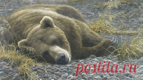 Дикие звери на картинах Роберта Бейтмана