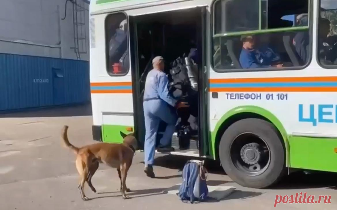 К месту взрыва в цехе под Рязанью направили новую группу спасателей. В Рязанскую область к месту взрыва в производственном цехе завода в Шиловском районе направили дополнительную группу спасателей, сообщила в телеграм-канале пресс-служба МЧС России.