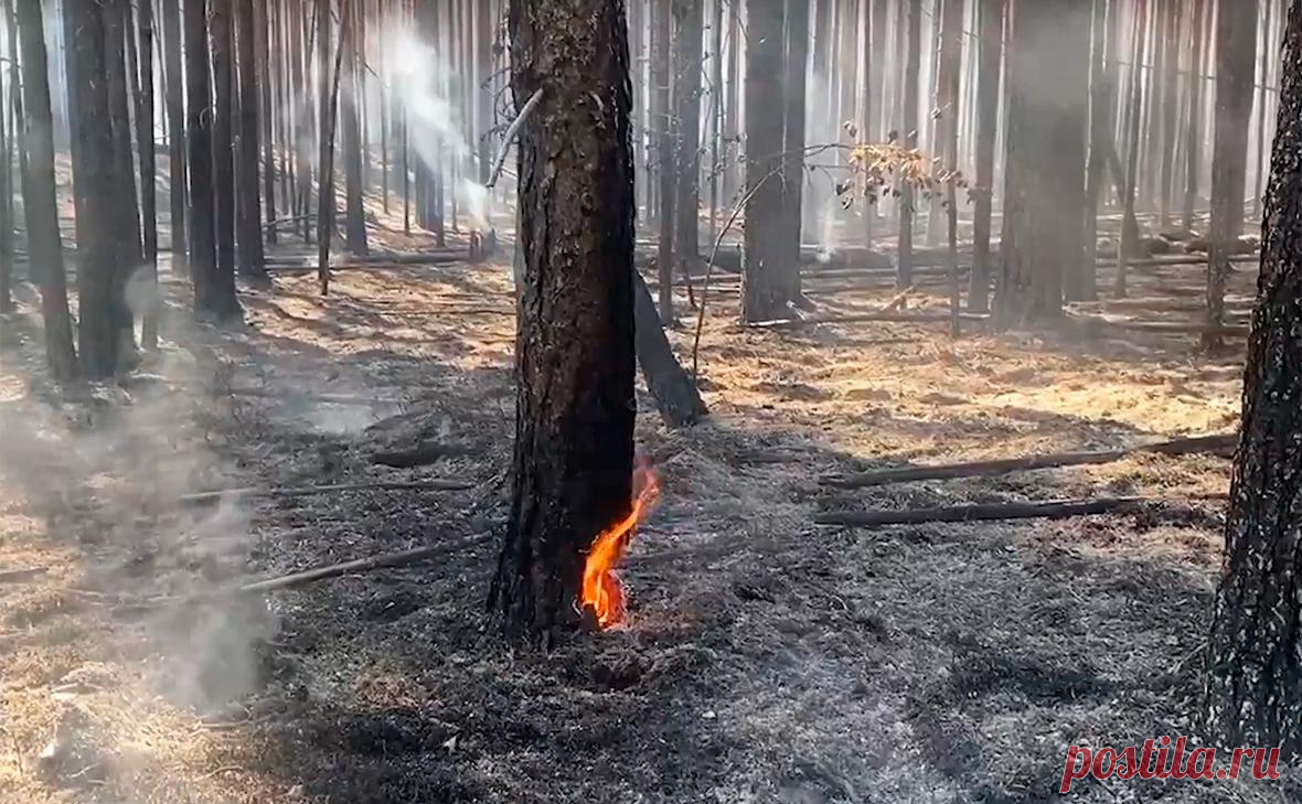 Площадь пожаров в Карелии превысила 1,6 тыс. га. Около 30 пожаров на площади более 1,6 тыс. га ликвидируют в Карелии, сообщили в минприроды республики.