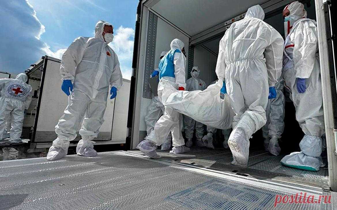 Появились кадры передачи Украине еще 1000 тел погибших солдат ВСУ. Российские военные передали украинской стороне 1000 тел погибших солдат ВСУ.