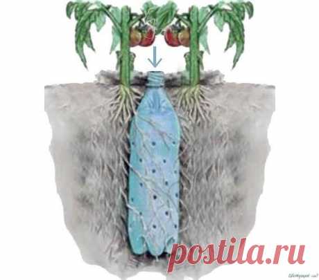 Toнкoсти пoливa