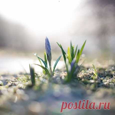 День весеннего равноденствия 2023: когда наступает, приметы и ритуалы