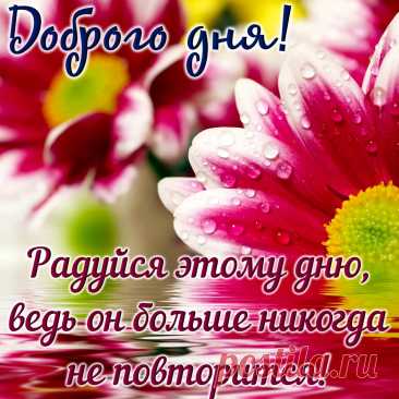 открытка пожелание доброго дня