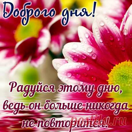 открытка пожелание доброго дня