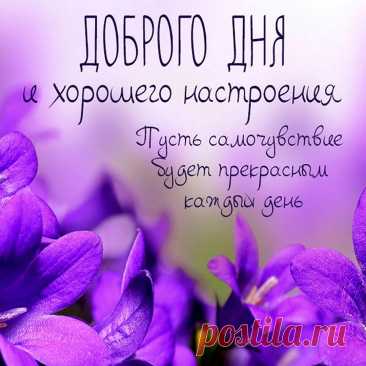 Красивые картинки &quot;Доброго дня&quot; открытка с пожеланием доброго дня