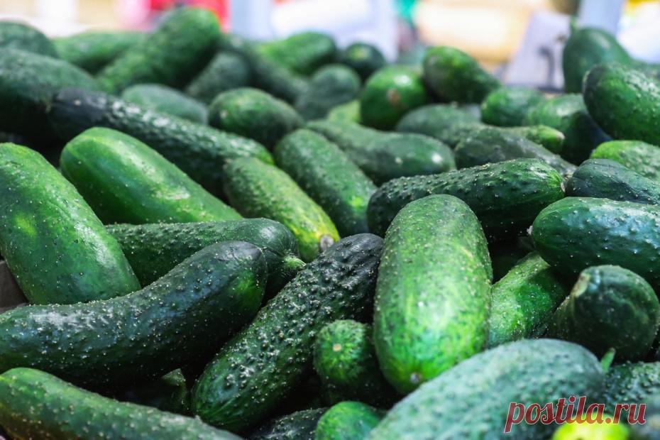 Десант ВСУ отправился на дно Днепра: новости СВО на утро 6 августа