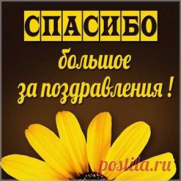 открытка спасибо за поздравления