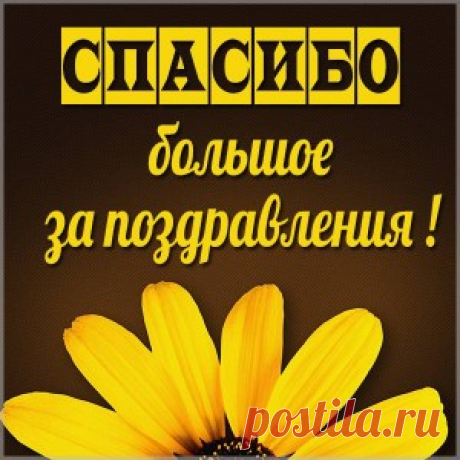 открытка спасибо за поздравления