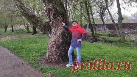 Уже не до шуток! В России заканчивается формирование рабочей бедноты. Почему эту проблему надо громко обсуждать Я зарабатываю в среднем 60 тысяч рублей в месяц. Это без учёта дополнительных источников. Супруга вообще не работает, так как она уже ...