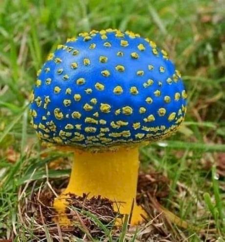 Выпуск №5089 - выпуск анекдотов сайта вокруг смеха