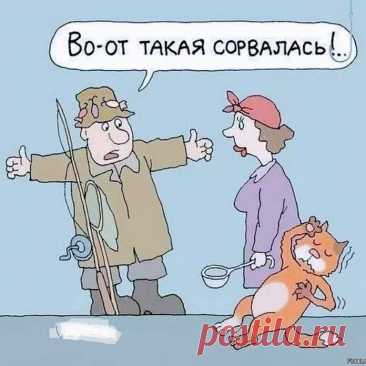 Выпуск №6534 - выпуск анекдотов сайта вокруг смеха