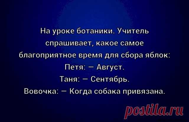 Выпуск №6540 - выпуск анекдотов сайта вокруг смеха