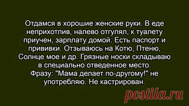 Выпуск №6534 - выпуск анекдотов сайта вокруг смеха