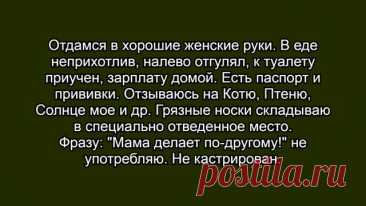 Выпуск №6534 - выпуск анекдотов сайта вокруг смеха