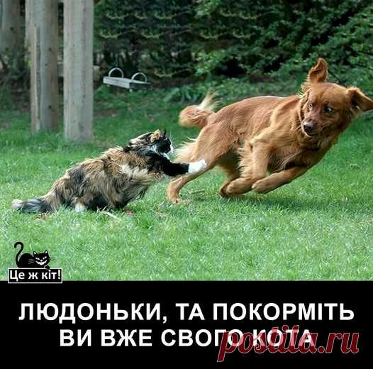 5bbb0b50.jpg (526×520)