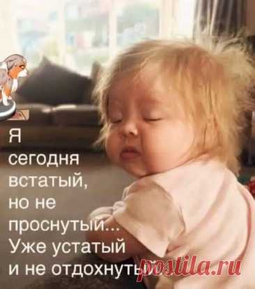 Выпуск №6556 - выпуск анекдотов сайта вокруг смеха