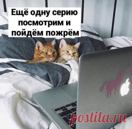 1807c756.jpg (1024×1005)