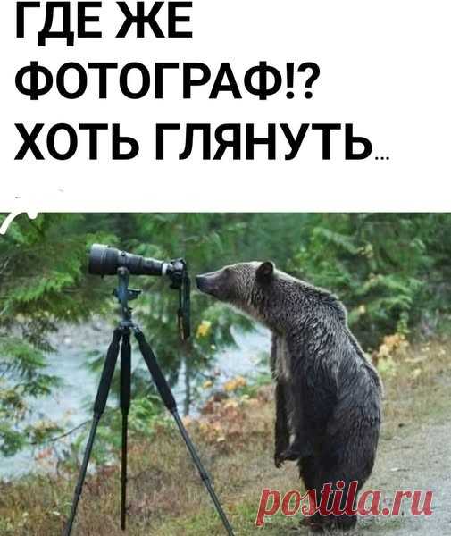 Выпуск №6533 - выпуск анекдотов сайта вокруг смеха