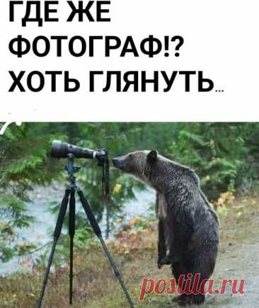 Выпуск №6533 - выпуск анекдотов сайта вокруг смеха