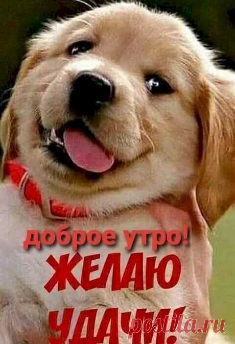 8d4c48d8.jpg (480×702)