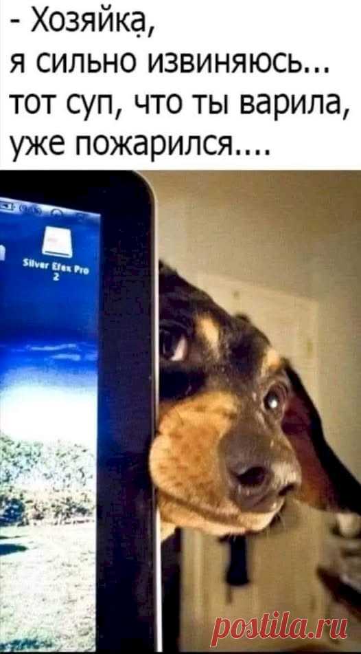Выпуск №6533 - выпуск анекдотов сайта вокруг смеха