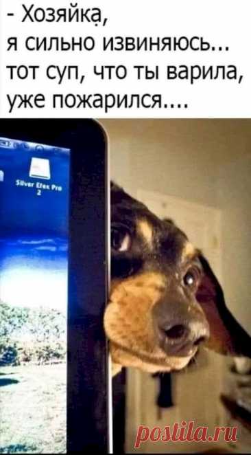 Выпуск №6533 - выпуск анекдотов сайта вокруг смеха