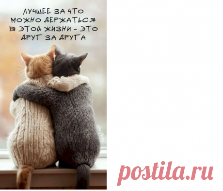 3a9e1d3d.png (905×774)