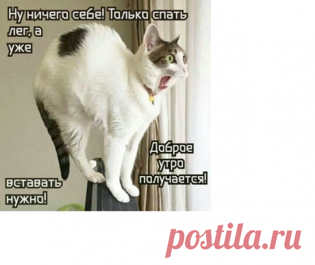 bdb5fe8f.png (896×753)