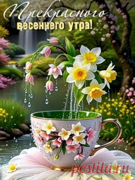 7caca772.jpg (768×1024)