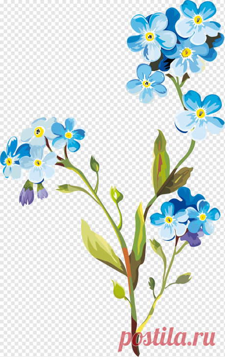 Цветочный рисунок, весенние цветы, травянистое растение, филиал, растение Стебель png | PNGWing