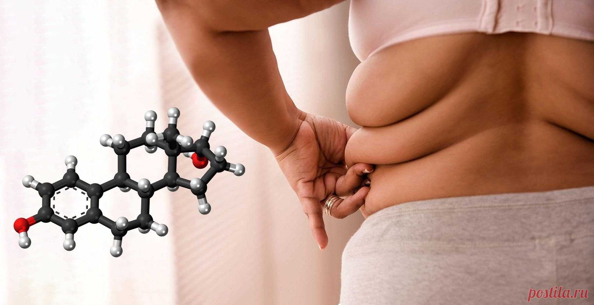 Какие гормоны мешают похудеть женщине, как это исправить без лекарств Гормоны и вес – понятия взаимосвязанные. Если хотите похудеть правильно, без вреда для здоровья, начните с главного – приведите в норму гормоны, влияющие на вес. Как это сделать без лекарств...