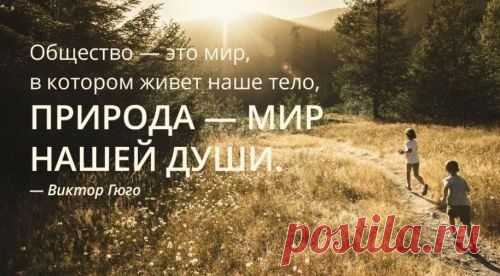535 цитат и фраз о природе: короткие цитаты, статусы, мудрые высказывания, красивые афоризмы, философские изречения про природу, экологию, окружающую среду