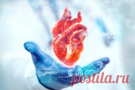 Первый признак заболевания сердца Признаком сердечно-сосудистого заболевания может быть одышка при нагрузке. Об этом рассказал кардиохирург Тимур Халилулин.«Проявления заболеваний сердца разнообразны, но чаще всего пациенты обращают внимание на снижение возможности выполнять привычные для себя физические нагрузки –...