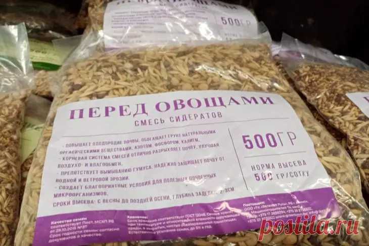 Что посадить на освободившиеся грядки: сидераты, которые спасут почву. Посев сидератов – это мудрое решение, закрывающее почву живым ковром.
