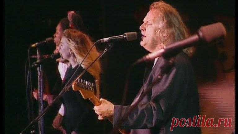 Pink Floyd- Comfortably Numb- Knebworth 6-30-90 - In The Studio with Redbeard