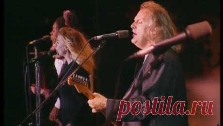 Pink Floyd- Comfortably Numb- Knebworth 6-30-90 - In The Studio with Redbeard